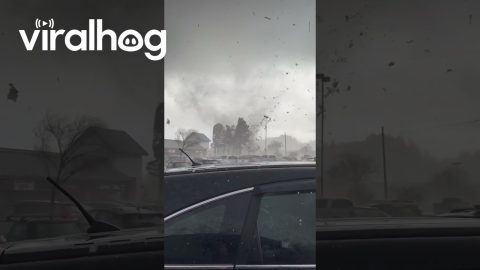Surprise California Tornado in Scotts Valley || ViralHog