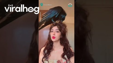 Raven Hairstylist || ViralHog