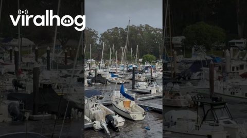 Swell Surging Through Santa Cruz Harbor || ViralHog
