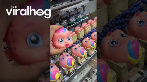Satisfying Machine Prints Faces on Doll Heads || ViralHog