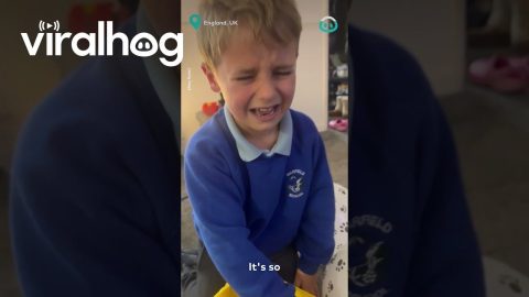 Adorable Kid Surprised with Puppy || ViralHog