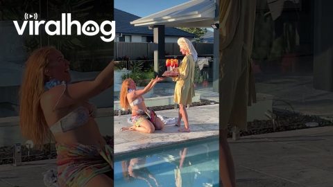 Sunrise Cocktails Shatter Into Pool || ViralHog