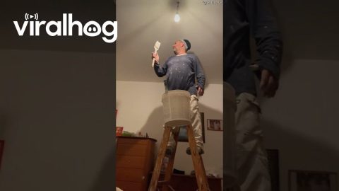 Dad's Ladder Legs || ViralHog