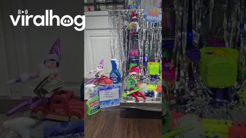 Santa's Elves Working At The Carwash || ViralHog