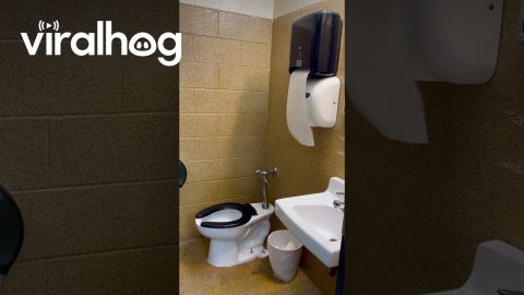 Paper Towel Air Dryer Chain Reaction || ViralHog