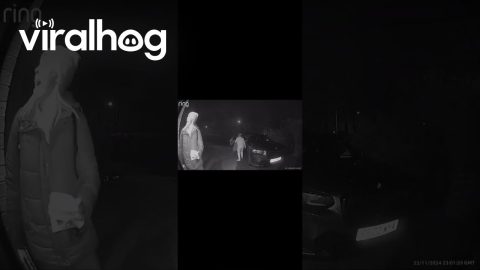 Doorbell Camera Exposes Curry Night Farts || ViralHog