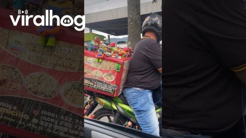 Man's Motorbike Covered In Toys || ViralHog