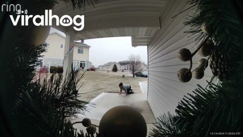 Minnesota Ice Causes Alabamian Woman To Slip || ViralHog