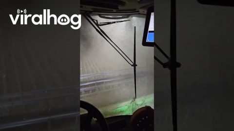 Driving a Combine Through 50 MPH Winds || ViralHog
