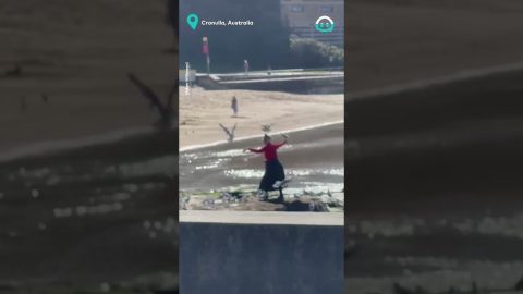 Woman Attracts Birds at The Beach || ViralHog
