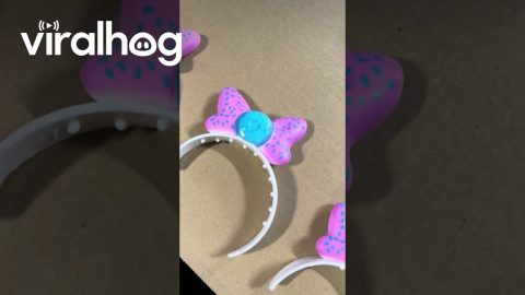 Painting Plastic Bows || ViralHog