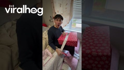 Man Astonished At Gaming Gift || ViralHog