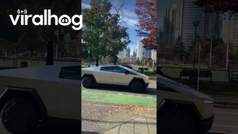 Cybertruck Parade In Vancouver's Chinatown || ViralHog