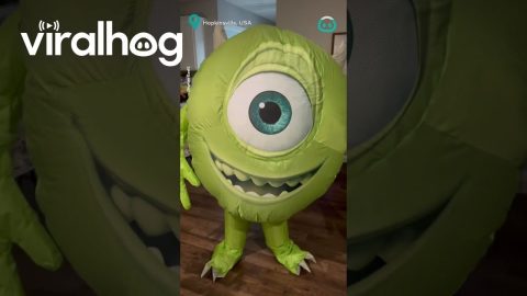 Maxwell the Corgi is Scared of Monsters Inc. || ViralHog
