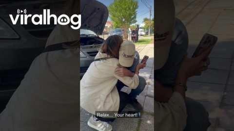 Surprise Visit After Living Abroad || ViralHog