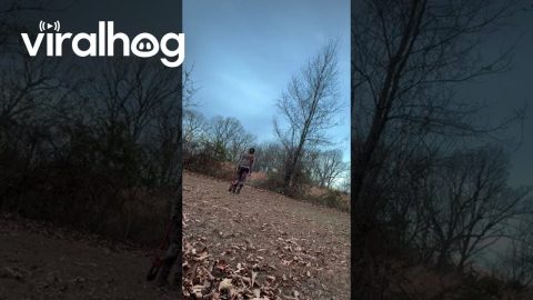 Woman Cuts Fence To Free Tangled Buck || ViralHog