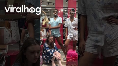 Women Pose As Mannequins In Window Display || ViralHog