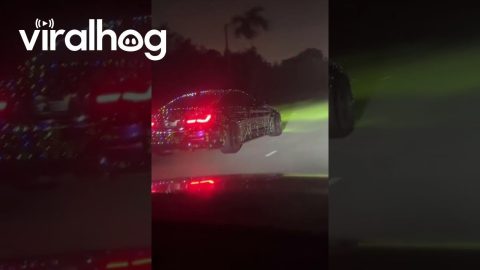 Car Covered In Christmas Lights || ViralHog