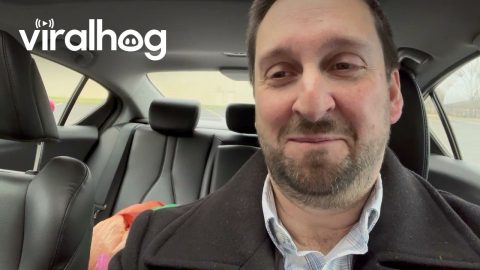 Wife Surprises Husband With Holiday Passenger || ViralHog