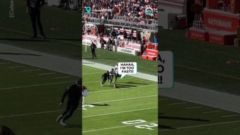Wiener Dog Runs Riot at Football Game || ViralHog