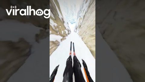 Professional Skis Steep And Narrow Path || ViralHog