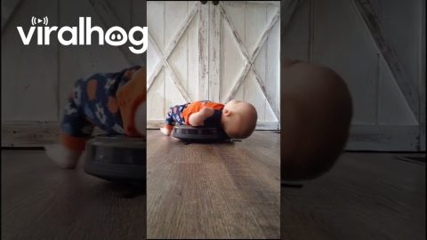 Son Relaxes On Robot Vacuum || ViralHog
