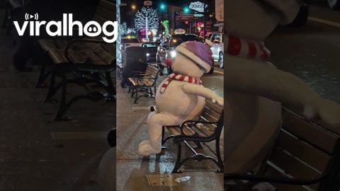 Gatlinburg Black Bear Wants Fudge || ViralHog