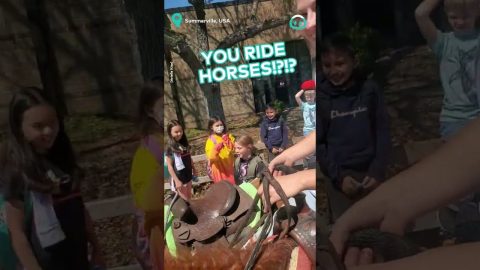 Horseback Carpool || ViralHog