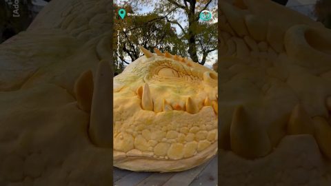Mega Pumpkin Carving || ViralHog
