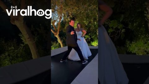 Groom Tears Wedding Dress Seam During Trampoline Bounce || ViralHog