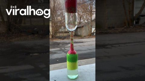 Satisfying Beads Moving Through Glass Bottles || ViralHog