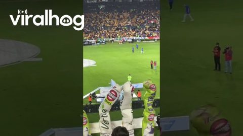 Mascots Have Friendly Feud During Halftime Show || ViralHog