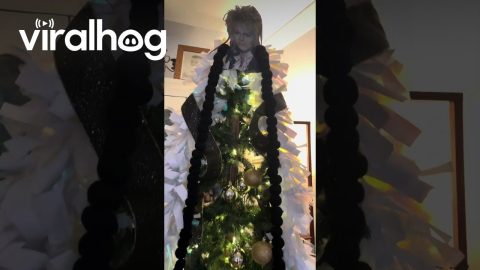 The Goblin King Themed Christmas Tree || ViralHog