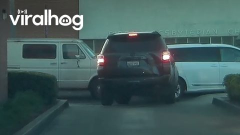 Difficulty Leaving The Drive Thru || ViralHog