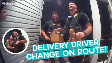 Cops Complete Food Delivery After Driver Is Arrested || ViralHog