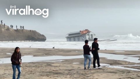 Santa Cruz Wharf Collapse Floats Bathroom To River Mouth || ViralHog