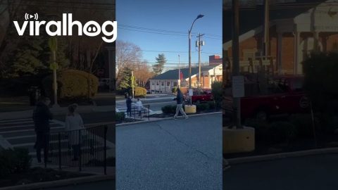 Captured Grinch Paraded Though Ridgewood, New Jersey || ViralHog