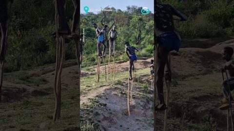 Banna tribe walking on stilts || ViralHog