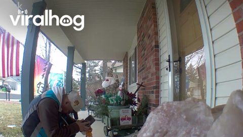 Grateful Delivery Driver Takes A Knee || ViralHog