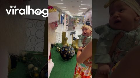 Daughter's First Time Meeting Santa || ViralHog