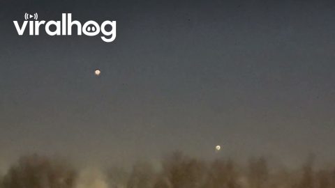 Odd Drones Over Navy Base and Leonardo Marina || ViralHog