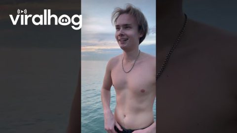 Bystander Swims To Save Pups Ball || ViralHog