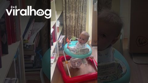 Baby Sasses Mom || ViralHog