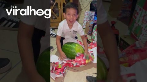 Watermelon Lover Receives the Best Gift || ViralHog