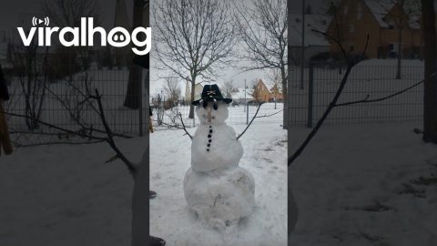 When Don't Have Any Carrots and Need a Nose for Your Snowman || ViralHog