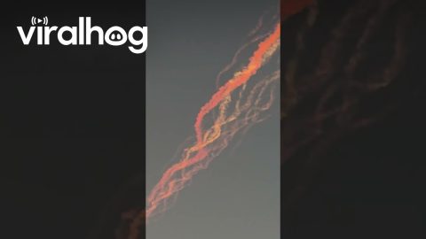 Space X Lunch Debris || ViralHog