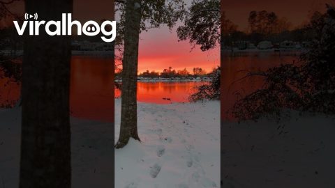 Snowy Sunset Over Red Louisiana Pond || ViralHog
