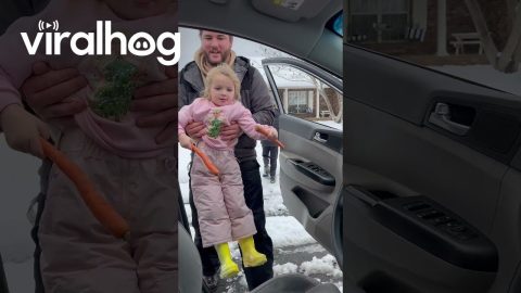 Handing Out Carrots To Neighborhood Snowman Builders || ViralHog