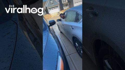Silly Husband Pops Head Through Ice To Say Goodbye || ViralHog