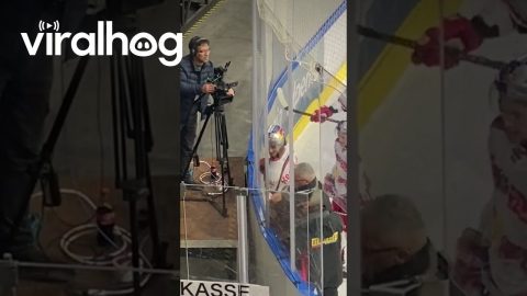 Hockey Player Stuck In Boards || ViralHog